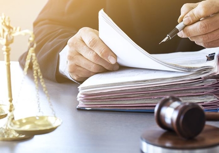 Appellate Cases Image